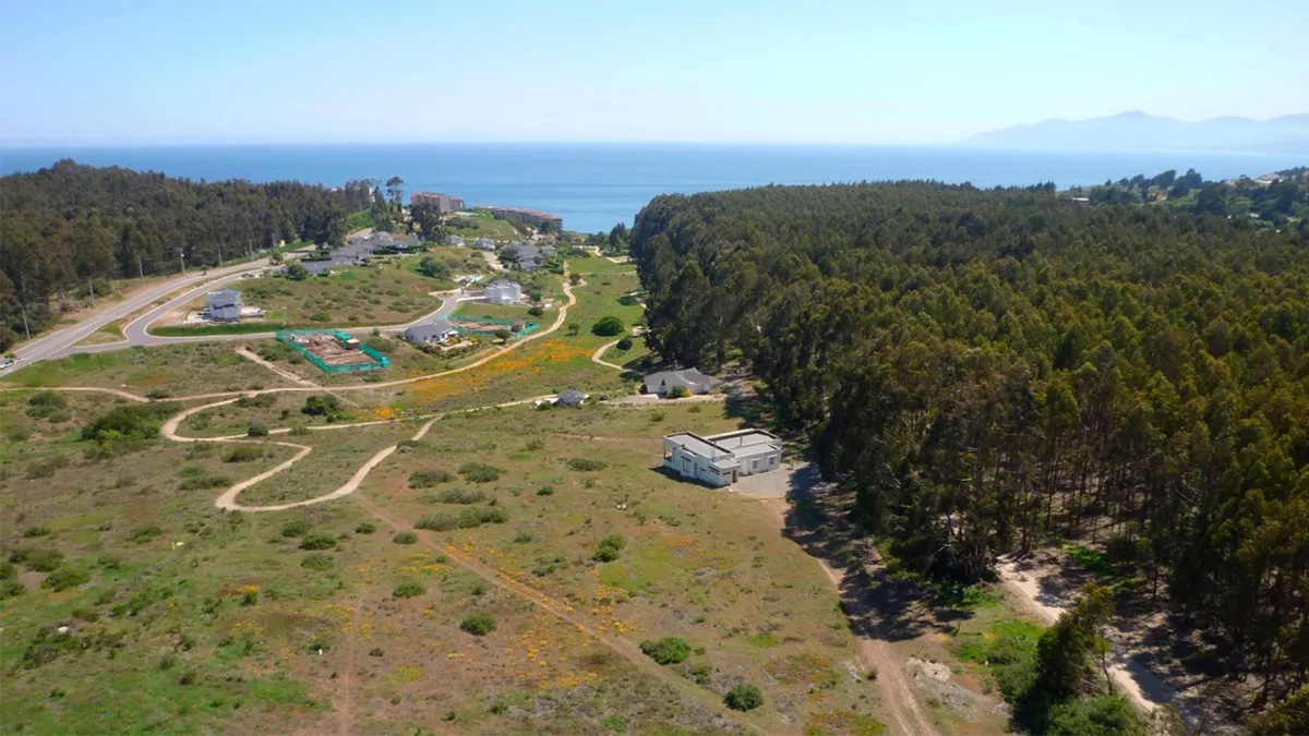 Bosques de Quilén