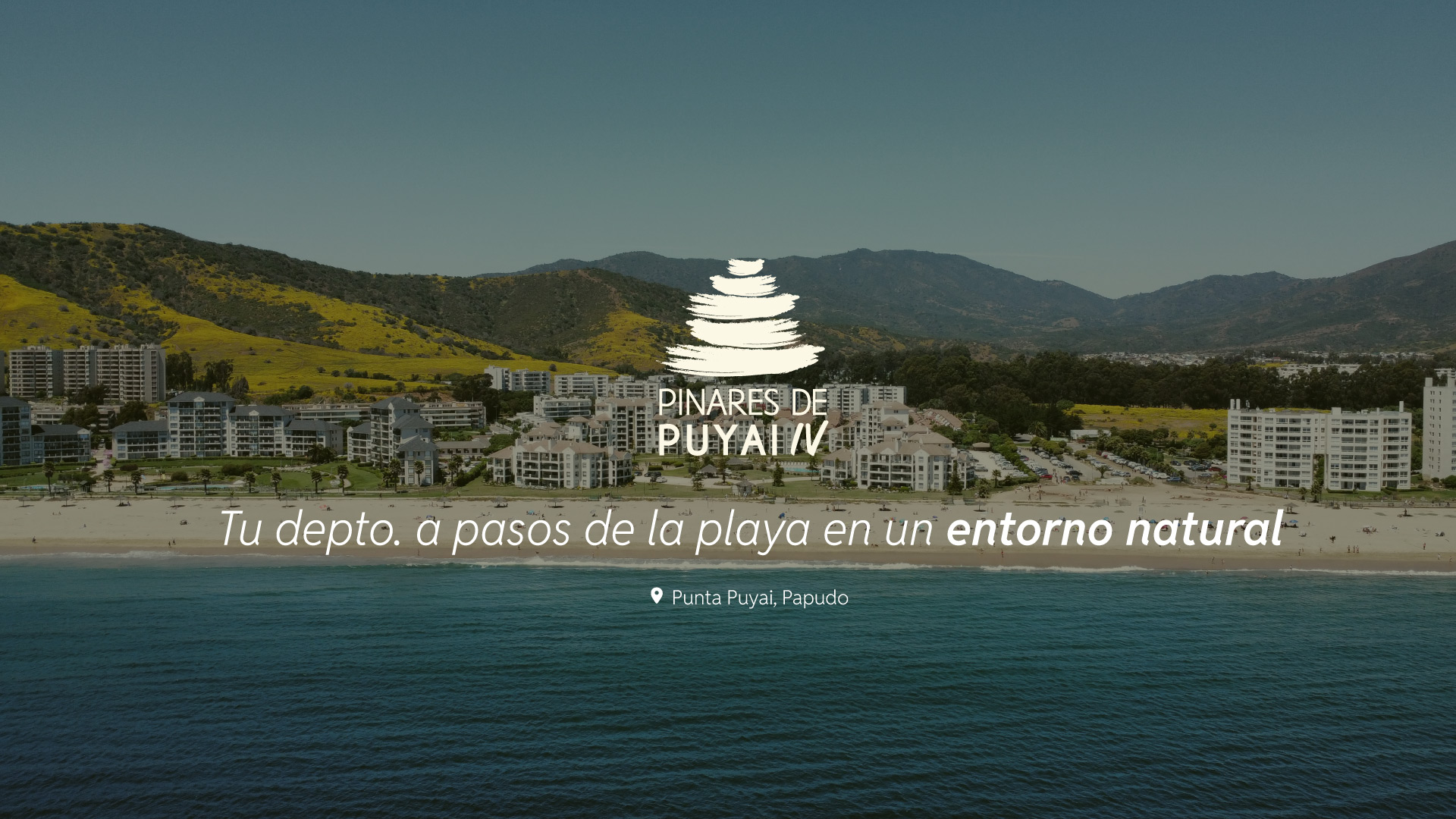 Header-Pinares-de-Puyai-IV